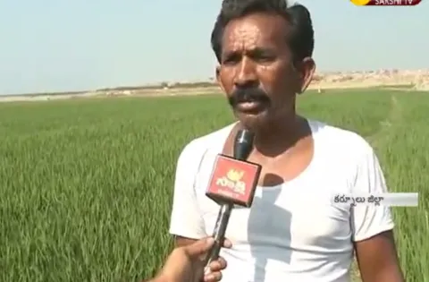  farmers wait forkc canal water - Sakshi