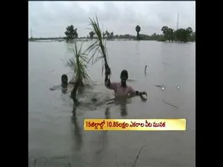 Heavy rains spoil prospects of kharif crops in ap - Sakshi