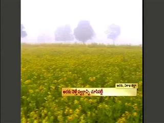 Araku valley a beautiful spot - Sakshi