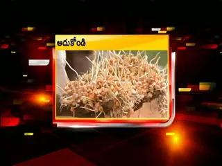 AP23 Evening News 28th Oct 2013 - Sakshi