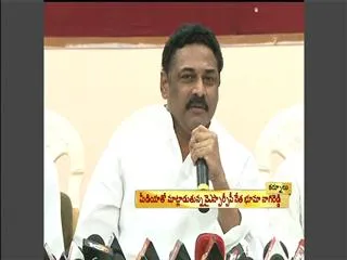 Bhuma Nagi Reddy fire on Chandrababu about State Division - Sakshi