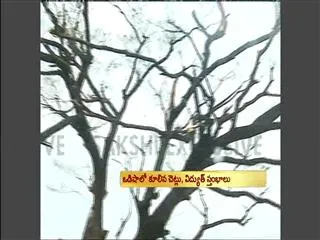 PHILIN Effect On Odisha & Andhra Pradesh - Sakshi