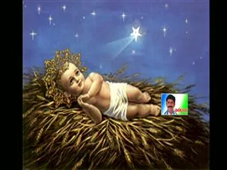 Sakshi special on 'Christmas' - Sakshi