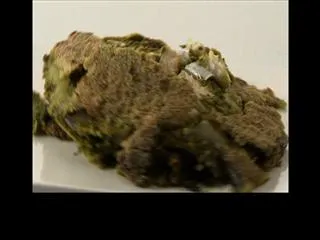 Hare masale Valley machli by Sanjeev Kapoor - Sakshi