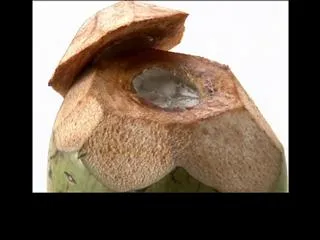 Making of Tender Coconut Shikanji by Sanjeev kapoor - Sakshi