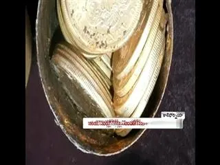 California couple finds $10 million in buried treasure while walking dog - Sakshi