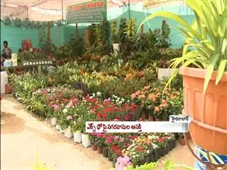 Horticulture Expo in Hyderabad - Sakshi