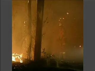 Australia wildfires raze homes in New South Wales - Sakshi