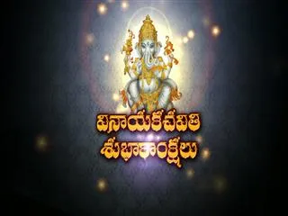 Vinayaka Chavithi celebrated across Andhra Pradesh - Sakshi
