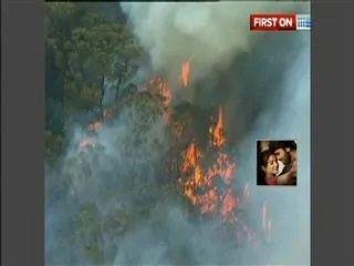 Australia burns in forest fire crisis - Sakshi