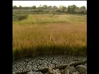 Farmers face problems - Sakshi
