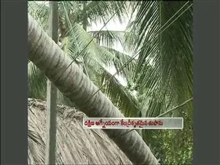 Heavy Rainfall in Kakinada - Sakshi