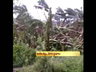 Cyclone Helen makes landfall in Machilipatnam region - Sakshi