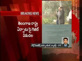 Gazette Notification on Telangana Formation Released - Sakshi