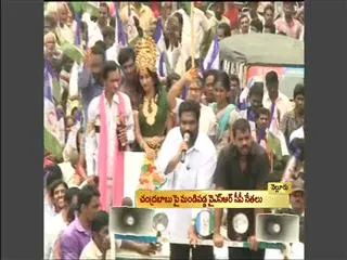 Samaikyandhra protest continues in Nellore - Sakshi