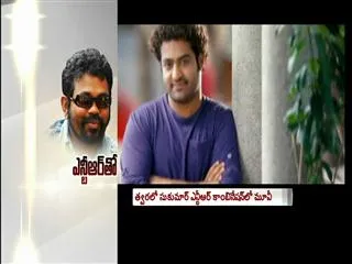 Jr NTR Sukumar Combination New Movie - Sakshi