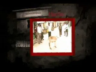 Palle Panchayati 19th July 2013 - Sakshi