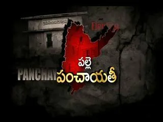Palle Panchayithi 14th July 2013 - Sakshi