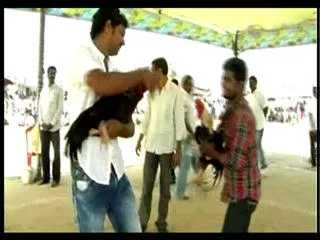 andhra las vegas i bheemavaram - Sakshi