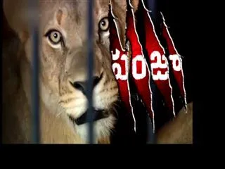 Special edition "Panja" - Sakshi