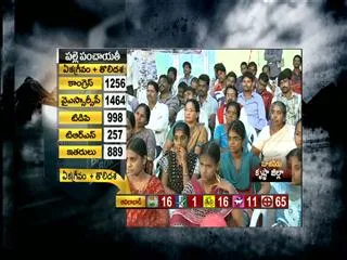 Sakshi Chaitanya Padam from Nuzivedu - Sakshi