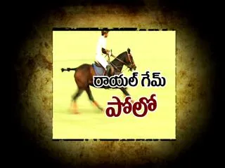 Royal Game - Polo - Sakshi