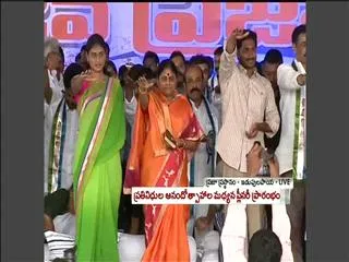 YSRCP Plenary: ysrcp activists takes oath in ysrcp 2nd plenary - Sakshi
