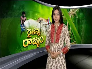 Raitanna Rajyam 11th Aug 2013 - Sakshi