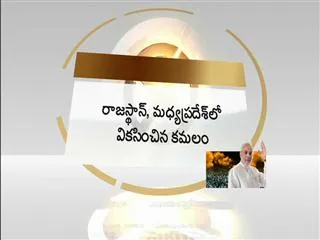 Assembly election results live: Dikshit resigns; BJP win in Rajasthan, MP - Sakshi