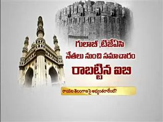 Telangana will be a big test for cops: IB - Sakshi