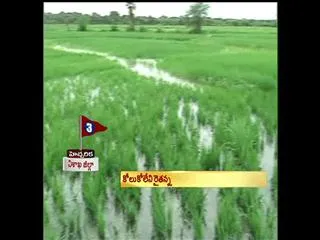 Farmers concerned as heavy rain - Sakshi