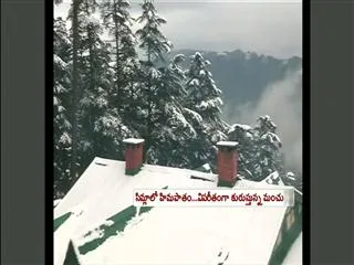 Best Time to Visit Shimla - Sakshi