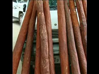 Red sandalwood worth rs 2 crore seized at bakarapeta - Sakshi