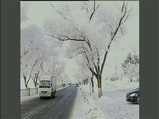 Snow storms cause chaos for travelers in SW China - Sakshi