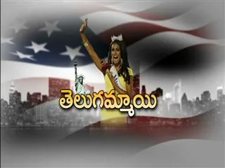 Telugu girl Nina Davuluri is first miss america of indian descent - Sakshi