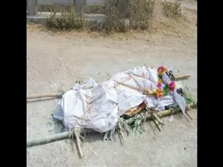 while bees attacked on anthima yatra - Sakshi