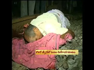 Andhra Pradesh train accident: Eight dead, several injured, say officials - Sakshi