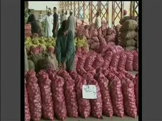 Kashmir people happy with pakistan's onion - Sakshi