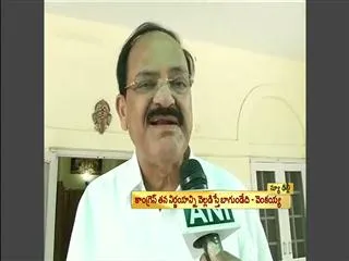 venkaiah naidu  says what decision the government will take on Telangana - Sakshi