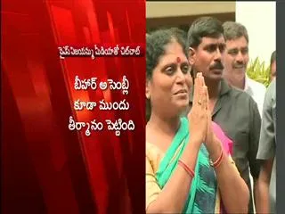 Bihar bifurcation after assembly resolution says y s vijayamma - Sakshi