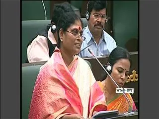 YS Vijayamma demands clarification for voting on telangana bill - Sakshi