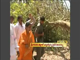 YS Vijayamma observed fallen coconut trees - Sakshi