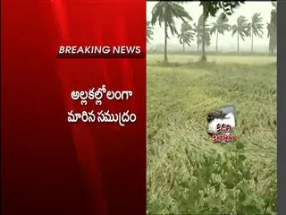 Helen Updates From Vizag - Sakshi