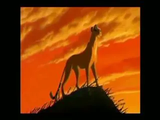 Wonder world 18th Aug 2013 - Sakshi