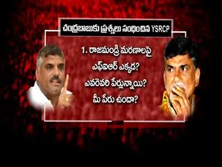 YSRCP asks 12 Question to CM Chandrababu over Stampede Deaths - Sakshi
