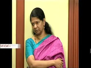 2G scam: ED files chargesheet against Raja, Kanimozhi - Sakshi