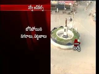 Survey continues peaceful in telangana - Sakshi