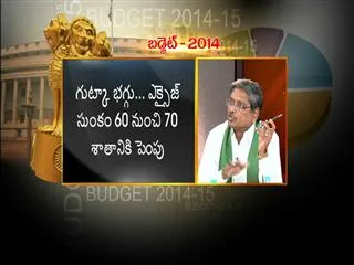Special Discussion on Budget 2014-15 - Sakshi