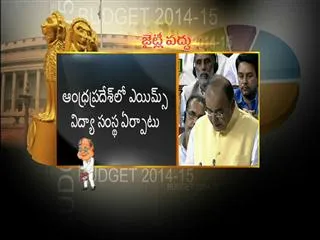 Budget 2014-15 : Arun Jaitley announces AIMS for Andhra Pradesh - Sakshi
