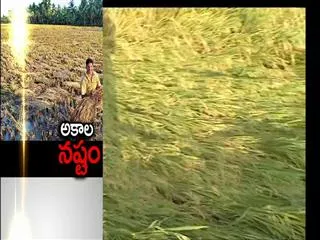 Heavy rains in Telangana - Sakshi